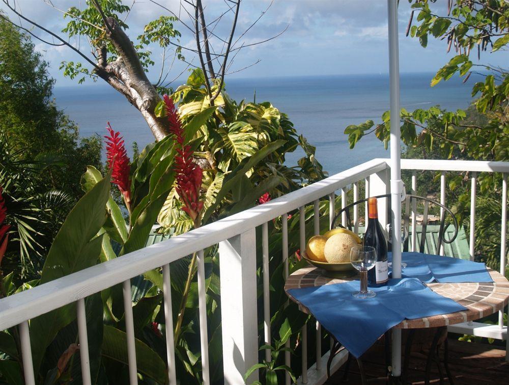 Nature'S Paradise Bed & Breakfast Marigot Bay Exterior photo