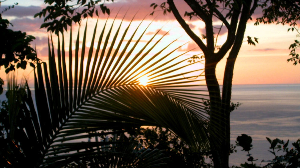 Nature'S Paradise Bed & Breakfast Marigot Bay Exterior photo