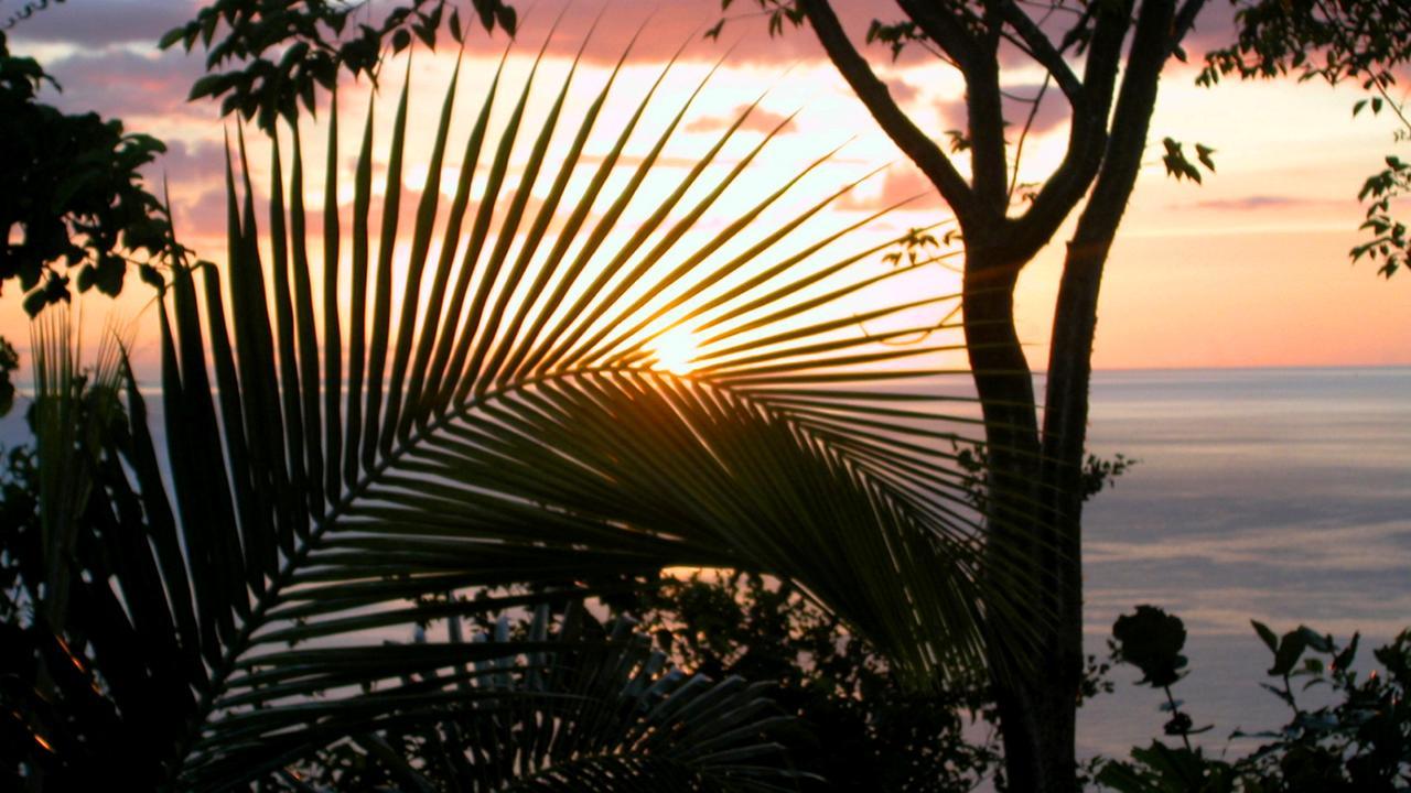 Nature'S Paradise Bed & Breakfast Marigot Bay Exterior photo