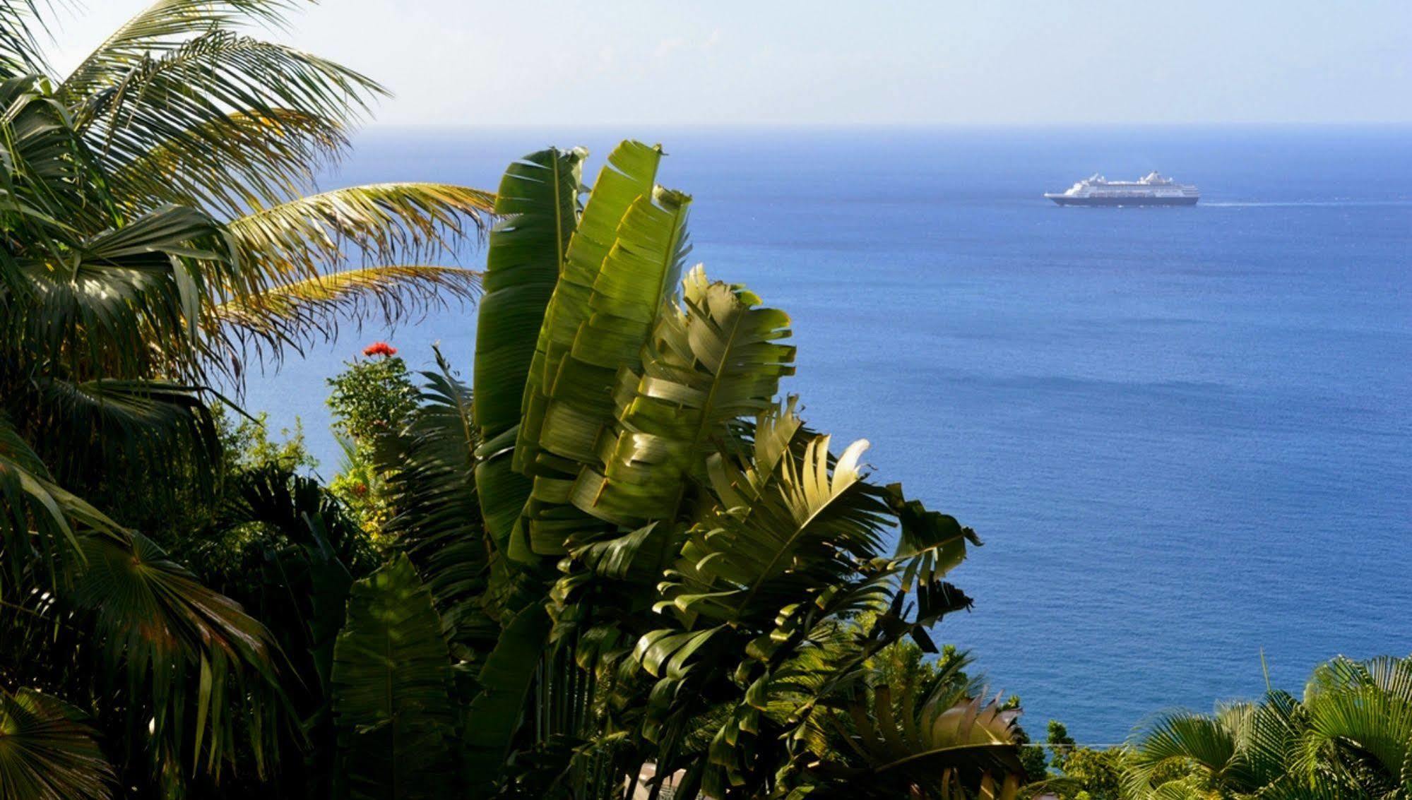 Nature'S Paradise Bed & Breakfast Marigot Bay Exterior photo